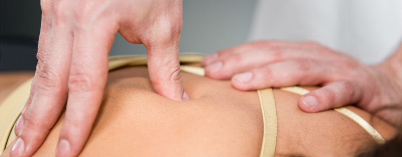 Trigger Point Therapy(Myofascial Release) Fort Wayne, IN